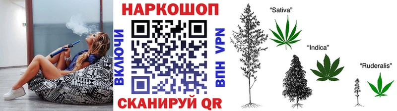 Виды наркотиков купить Алагир Канабис  Alpha-PVP  Меф мяу мяу  COCAIN 