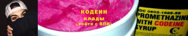 молекула духа Пестово