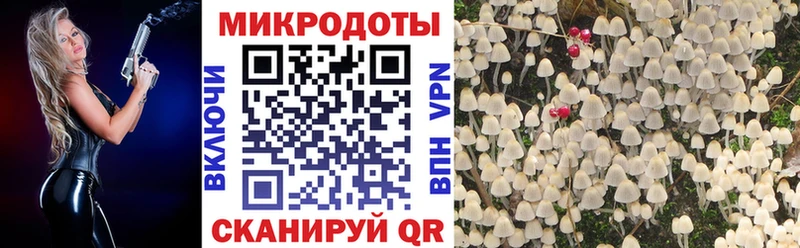 что такое   Алагир  blacksprut как зайти  Псилоцибиновые грибы Psilocybe 